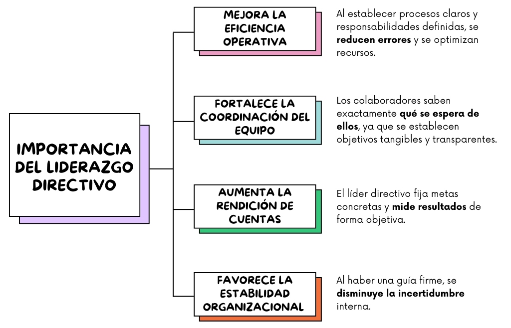 Importancia del liderazgo directivo: Mejora la eficiencia operativa, Fortalece la coordinación del equipo, Aumenta. la rendición de cuentas, Favorece la estabilidad organizacional.