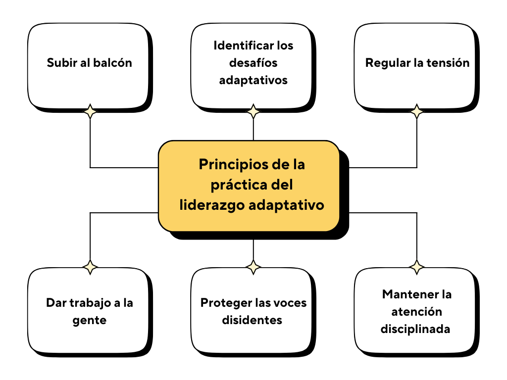 Principios de la práctica del liderazgo adaptativo: Subir al balcón; Identificar los desafíos adaptativos; Regular la tensión; Dar trabajo a la gente; Proteger las voces disidentes y Mantener la atención disciplinada.